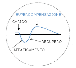 Tapering allenamento nuotatori