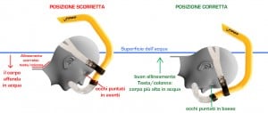 nuoto corretta posizione testa