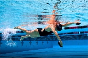 PT paddles finis swimmershop nuoto gomito alto EVF