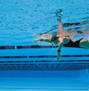 Palette Bolster FINIS swimmershop allenamento nuoto