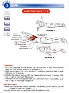 SWIMMING ANATOMY libro italiano nuoto anatomia esercizi a secco swimmershop