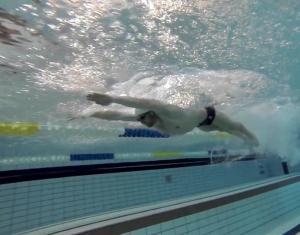 allenamento nuoto teoria FINIS swimmershop