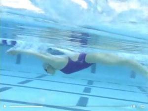 misty teoria allenamento nuoto