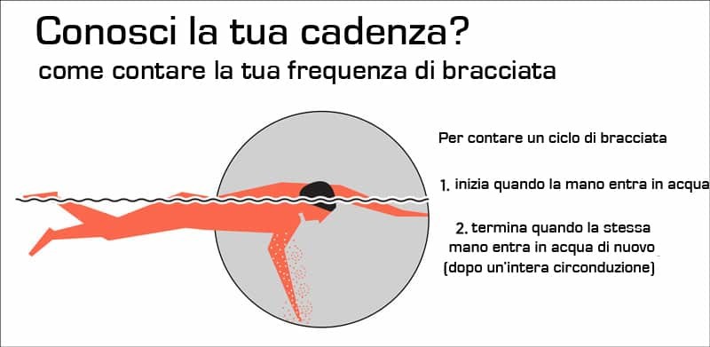 contare ciclo di bracciata swimmershop nuoto allenamento tecnica teoria