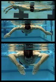 remate orizzontali allenamento nuoto esercizio esercizi swimmershop FINIS snorkel frontale