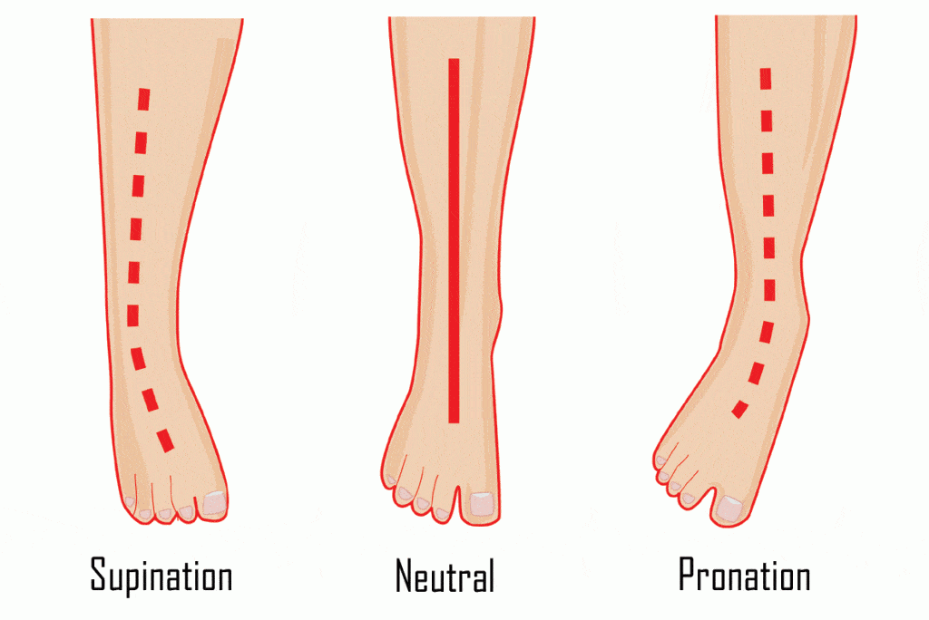 supination-neutral-pronatio