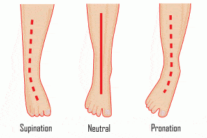 Meccanica della costruzione di una battuta di gambe a Stile solida e potente