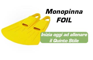 monopinna quinto stile