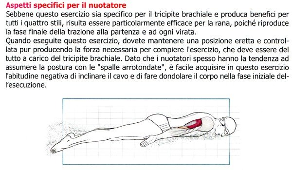 Tricipiti allenamento nuotatori