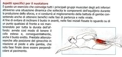 allenamento quadricipiti nuotatore