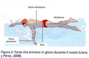 galleggiamento nuoto teoria