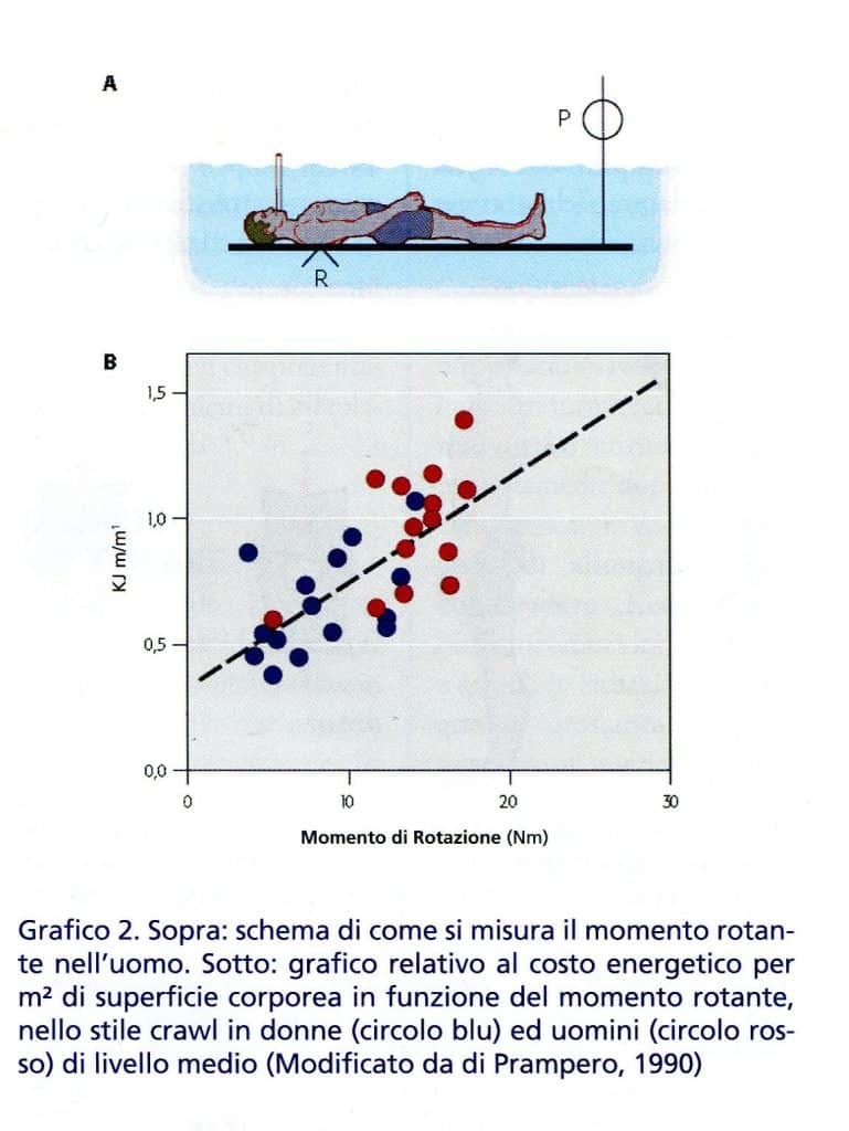 grafico 2