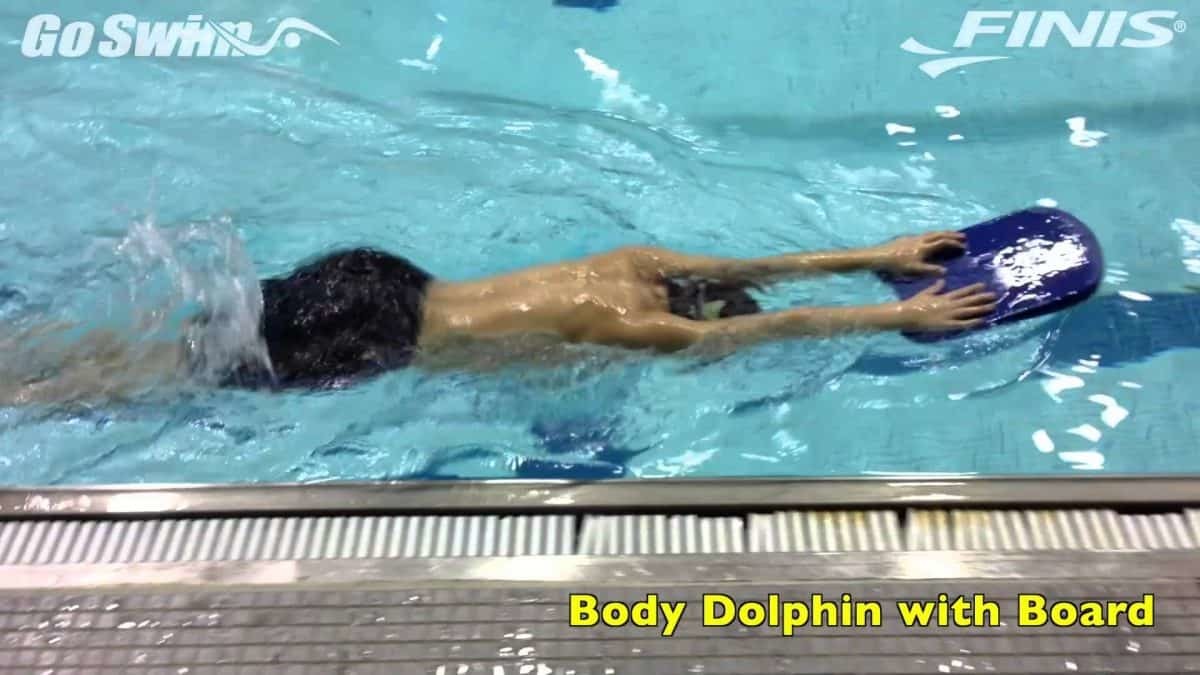 gambe delfino con tvoletta