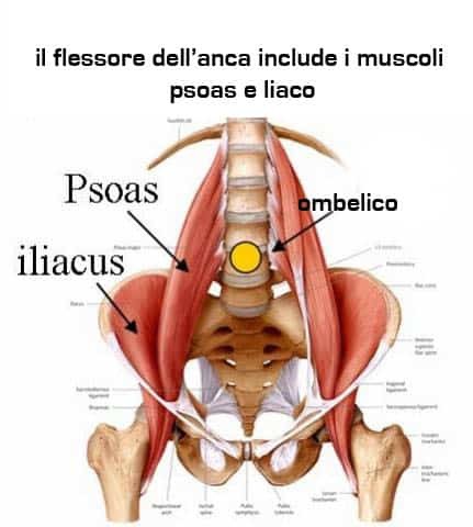 nuoto flessore dell'anca