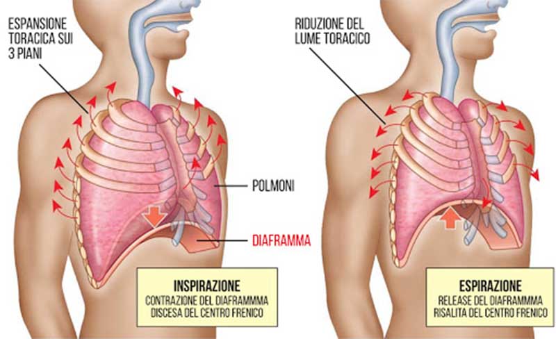 nuoto-allenare-la-respirazione