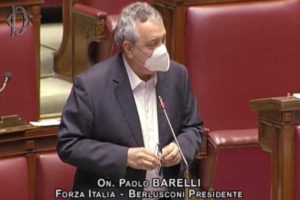 Barelli Porta le Ragioni delle Piscine alla Camera dei Deputati (video)