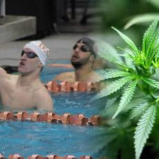 thc-nuoto-cannabis