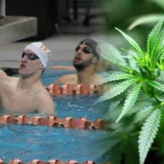 thc-nuoto-cannabis