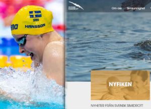 Altri 4 Nuotatori Svedesi Selezionati per le Prossime Olimpiadi