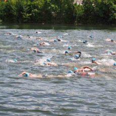Ultramaratona di nuoto FINA, inizia oggi