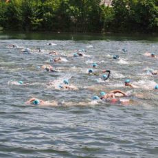 ultramaratona nuoto fina 2021