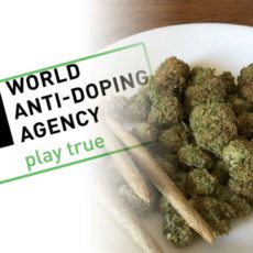 anti-doping-cannabis-legale