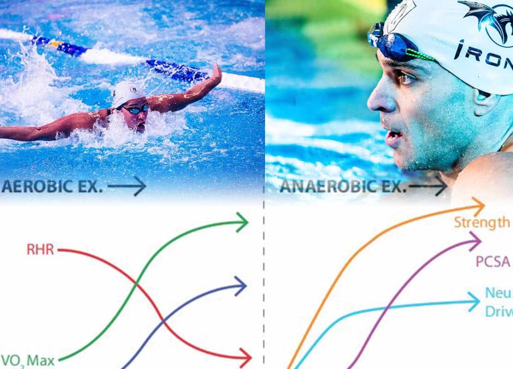 differenza-nuoto-aerobico-anaerobico