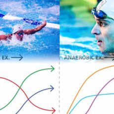 Differenza tra allenamento aerobico e anaerobico nel nuoto