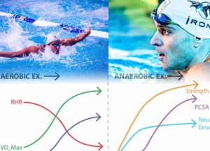 Differenza tra allenamento aerobico e anaerobico nel nuoto