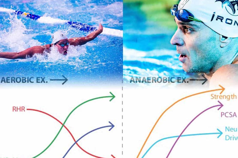 differenza-nuoto-aerobico-anaerobico