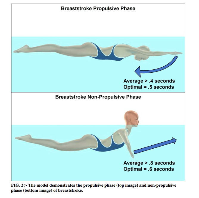 rana tecnica nuoto