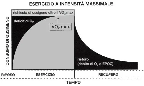 vo2max nuoto nuotatori vo2max nuoto nuotatori