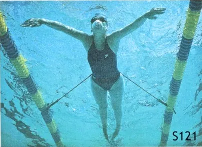 STATSWIM_01 STATSWIM 01