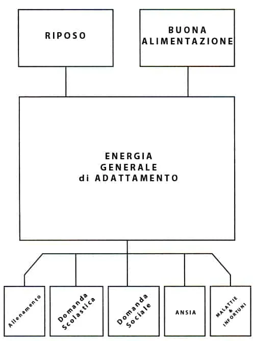 tabella_overtraining_sovrallenamento_Selye tabella_overtraining_sovrallenamento_Selye