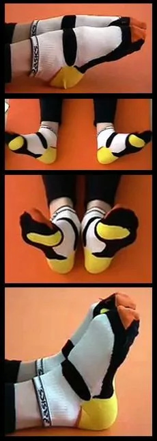 Ankleflex 1