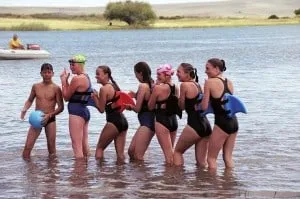 Swimfin tavoletta pinna squalo adulti