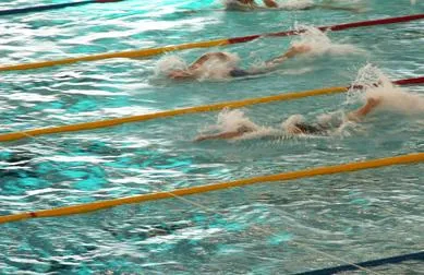 stile libero crawl strategie di gara swimmershop stile libero crawl strategie di gara swimmershop