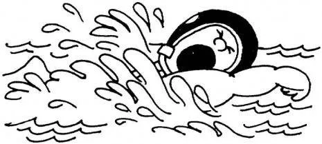 Scuola nuoto Leonardo Castellani swimmershop pesaro nuoto team Scuola nuoto Leonardo Castellani swimmershop pesaro nuoto team