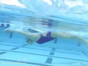 misty teoria allenamento nuoto