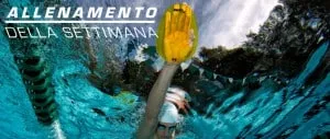 allenamento nuoto settimana rana delfino