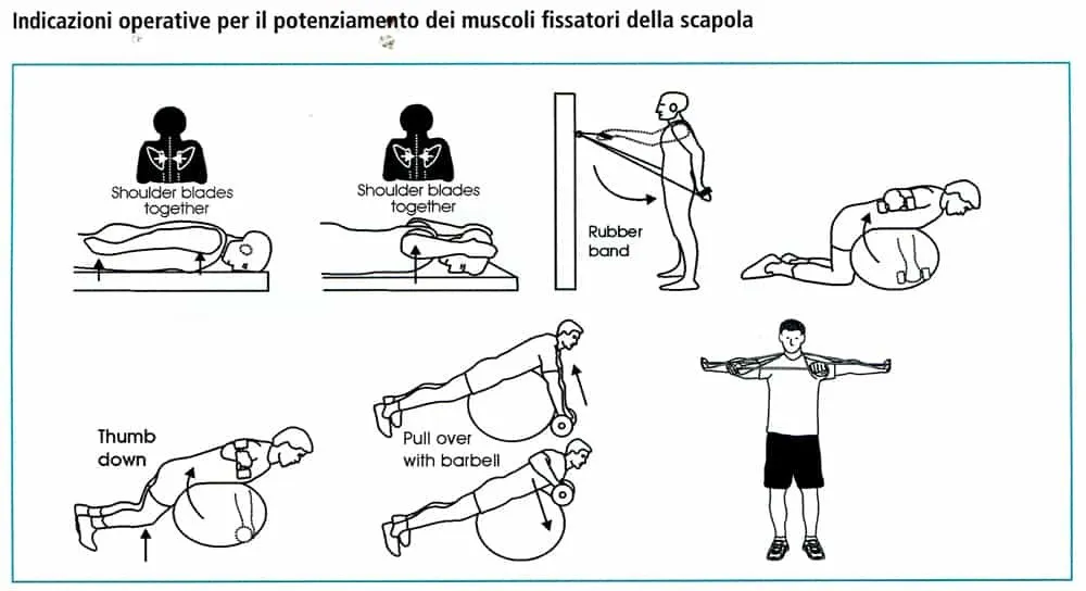 cuffia rotatore nuoto prevenzione
