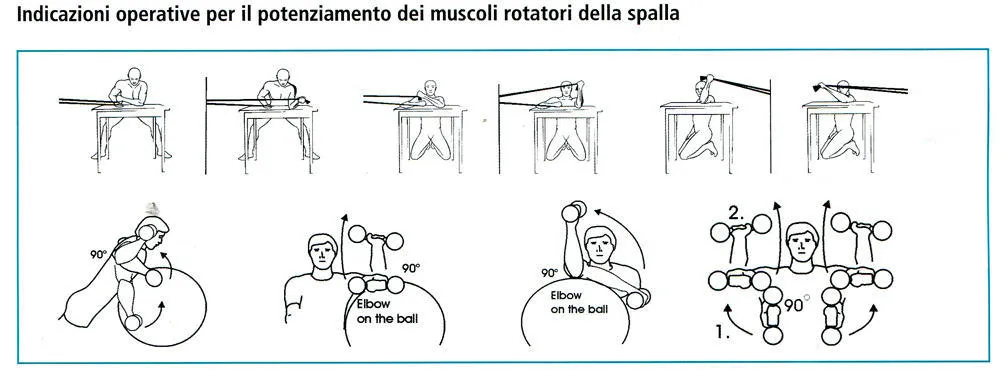 cuffia rotatore nuoto prevenzione