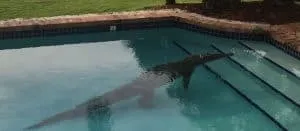 Allenamento nuoto Misti