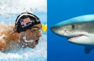 BN UH870 GAY071 GR 20170717145729