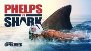 Phelps Vs Shark
