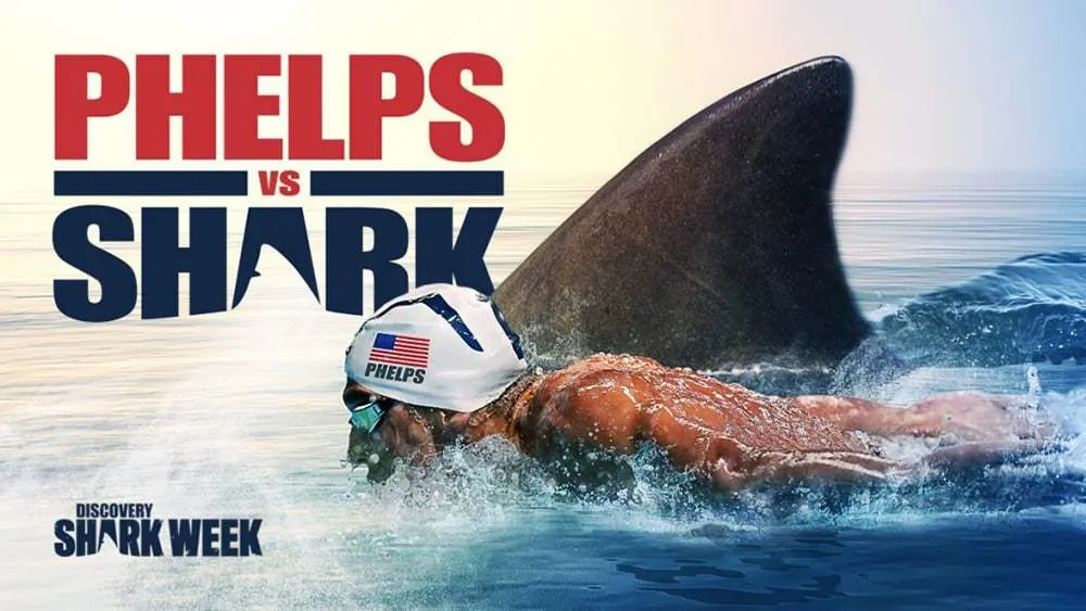 Phelps Vs Shark