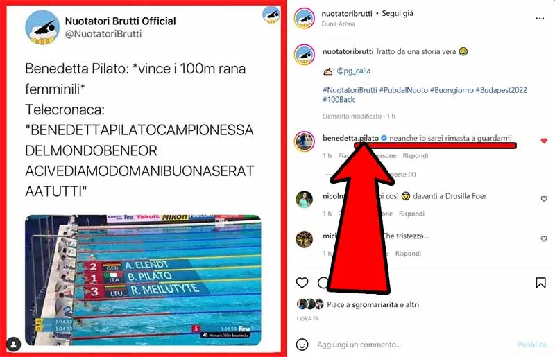 pilato nuotatori brutti